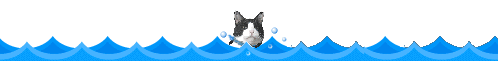ねこ